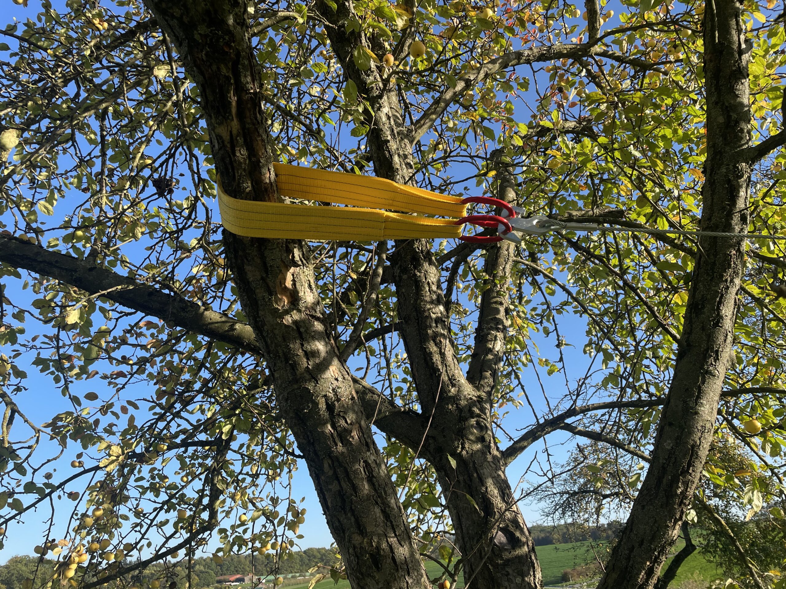 Schüttler OS - Seil-Schüttler OS Made in Germany 5 Schüttler OS - Seil-Schüttler OS Made in Germany - Image 5